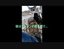 公道カート試走動画2024/02/03