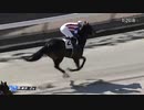 【ペッパーミル】2024年2月3日東京2R 3歳未勝利 ダート1300m【単勝247.1倍】