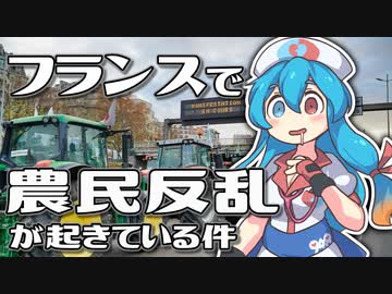 フランスで一揆が起きている件