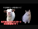 阪神チャンミ　先行に盤石・序盤速度スキル特攻です