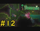 【Terraria】さくさく？テラリア #12【VOICEVOX実況】