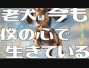 チャタロウダックスフンド / 丘与式杞憂 feat. 可不