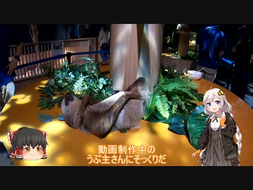 色々足りないうｐ主のゆっくり旅行記　沖縄編  第５話