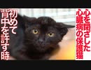 人間嫌いで心臓病の保護猫、初めて背中を許す