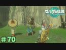 見張りも気になってるやん　「ゼルダの伝説～ティアーズ・オブ・ザ・キングダム」　＃70