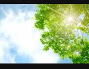 こんにちは♪【昼温和】No295≪自己肯定感を下げる人・上げる人への注意≫
