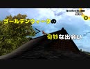 【Steam版 P4G】謎はまだまだ深まるばかり　ペルソナ4 ザ・ゴールデンを実況【#19】
