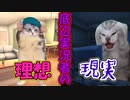 人生舐めてる底辺実況者の心が折れるまで【猫ミーム】