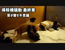 「もう掃除機の音は怖くない！だってママが来たんだもん」子猫たちの不思議な行動をご覧ください。