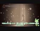 【ホロウナイト実況】【ずんだもん】【第九回】「神々の間」上位全ボスクリアを目指して