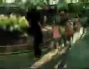 compilação six flags