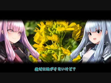 琴葉姉妹のかるーい雑談