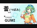【蕾(つぼみ)(bud)/コブクロ】Synthesizer V AI Megpoid(GUMI)【SynthV Cover カバー曲】