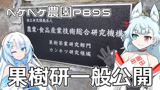 2024年2月4日　農作業日誌P895　果樹研究所一般公開へゴー！