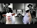 I'm catman