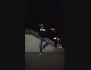 Beyond the way/ちょっと踊ってみた
