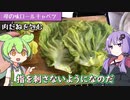 母の味ロールキャベツ