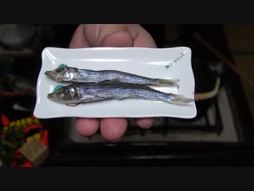 うるめいわし【長火鉢とおっさん343】