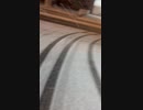 2024年 関東 大雪 3