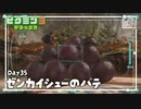 【全回収の果に】ピクミン3DX初見のんびり実況【35日目】