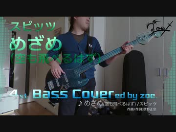 【ベース弾いてみた】めざめ(空も飛べるはず)【スピッツ】
