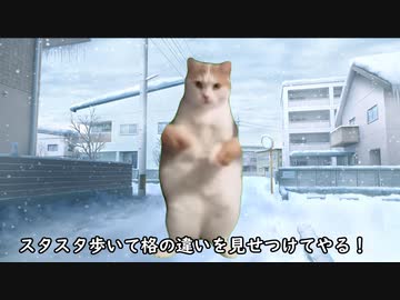 昔東京に住んでた時に雪が降った日に雪国マウントしようとした話【猫ミーム】