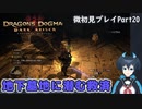 【DDDA】チトチトのドラゴンズドグマ：ダークアリズン微初見プレイPart20