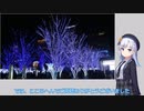 理系大学院生ひまり　番外編：彩澄りりせちゃん