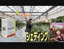 自分はシェディング自覚あるけど無い人は気にしすぎないほうがよいかも！レプリコン接種開始後はかなり警戒が必要になるかも：ＥＵ会議が欧州農業を壊している：食糧不足演出【アラ還・読書中毒】私事：いちご摘み