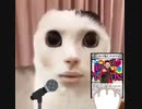 ハンデス猫