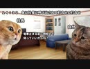 大雪降った時に帰った話　#猫ミーム