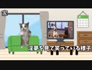 【面接編】就活でホ〇ビデオの制作会社を受けた話