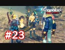【実況】ゼノブレイドDE #23