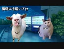 猫ミームに乗り遅れる動画投稿者