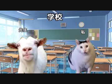 カナダ留学行った時