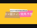 ウマ娘サイン馬券で競馬予想：2023年下半期総集編