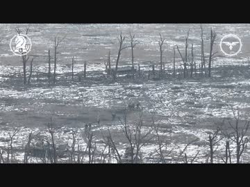 ホモと見るピロシキ共がいたからとりあえず全滅させるウクライナ軍