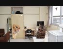 猫ミームで振り返る自衛隊生活