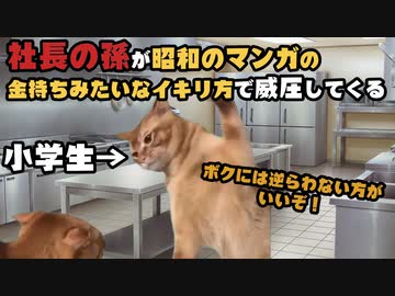 和菓子屋さんだった頃の話【猫ミーム】