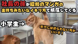 和菓子屋さんだった頃の話【猫ミーム】