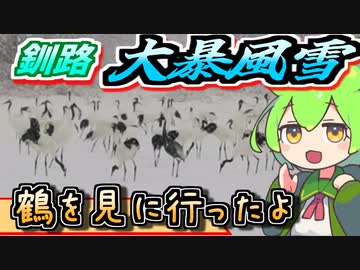 東京都民が裸足で逃げ出す暴風雪の日にマナヅルを見に行くずんだもん【釧路・阿寒】