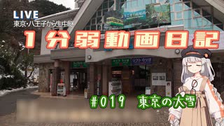 【1分弱動画日記】東京の大雪【#19】