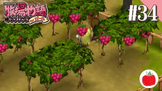 【実況】牧場物語ハーベストムーンforガールを遊ぶいも【#34】