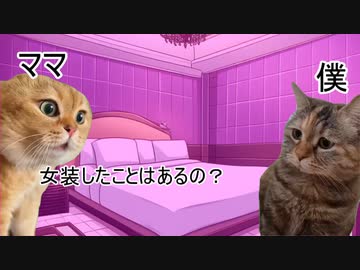 【猫ミーム】学生時代にニューハーフ風俗で働き始めた話