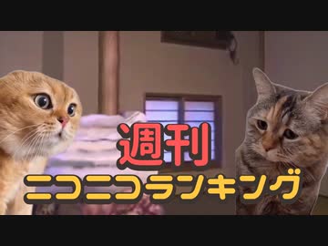ランキング本編動画