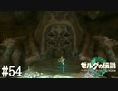 【ゼルダの伝説 Tears of the Kingdom】魔人像のおつかい【実況】#54