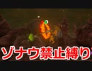 ゾナウ禁止縛りpart16【ティアキン/制限プレイ/ゼルダの伝説ティアーズオブザキングダム】