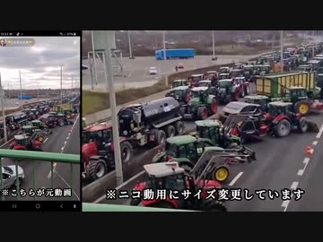 【 ニュースでは見られません】オランダの農民たちも国境を封鎖することでグローバリストに抗議