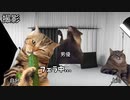 【日常編】ホモビデオ制作会社アルバイトの日常 #猫ミーム #猫マニ