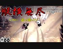 それ持って高速移動できるのズル過ぎない？（賢者の神殿）　[Hollow Knight]